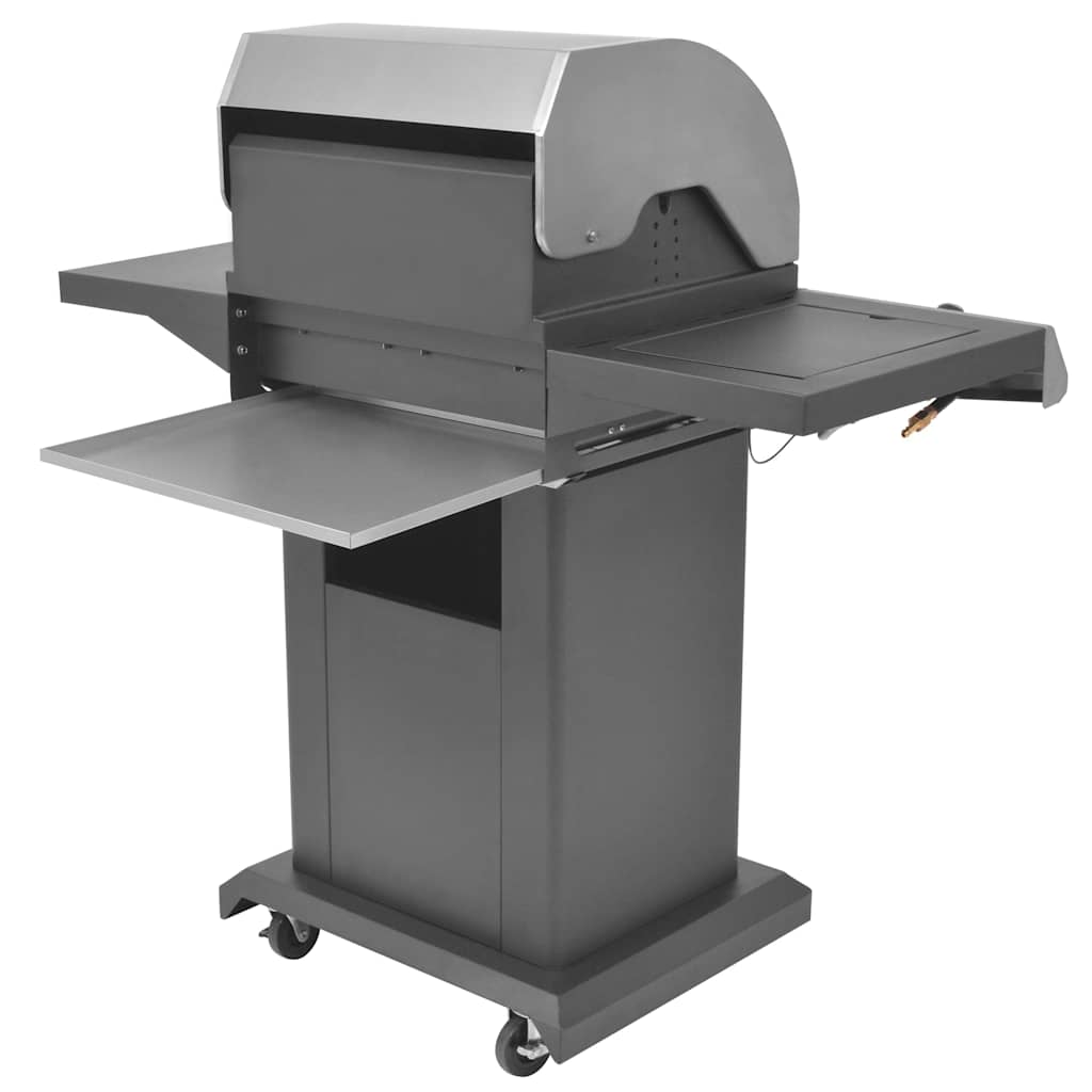 Grătar cu Gaz cu Ardere cu ușă Argintiu Oțel cu furtun metalic