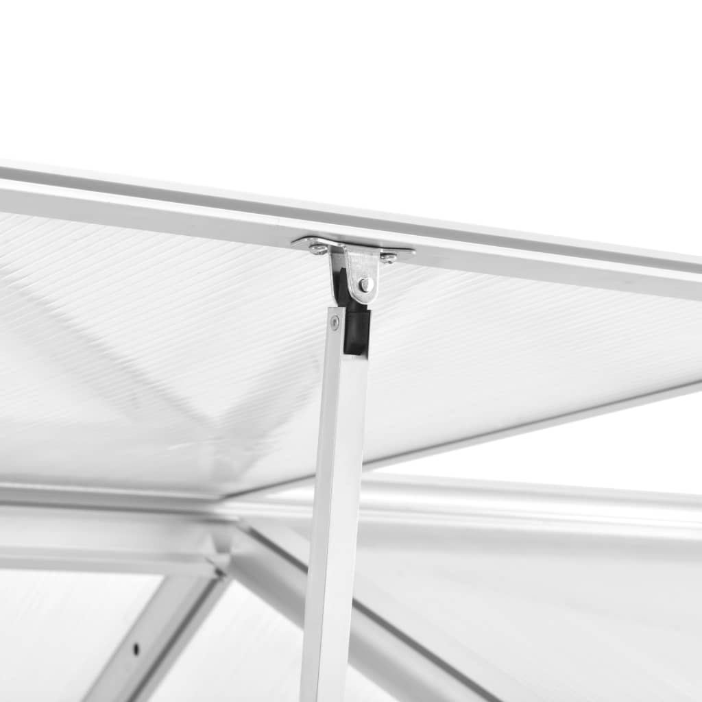 Seră, 11,19 m³, 302x190x195 cm, aluminiu