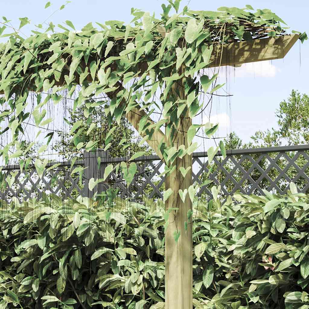 Pergolă de grădină, 205 x 40 x 203 cm, lemn