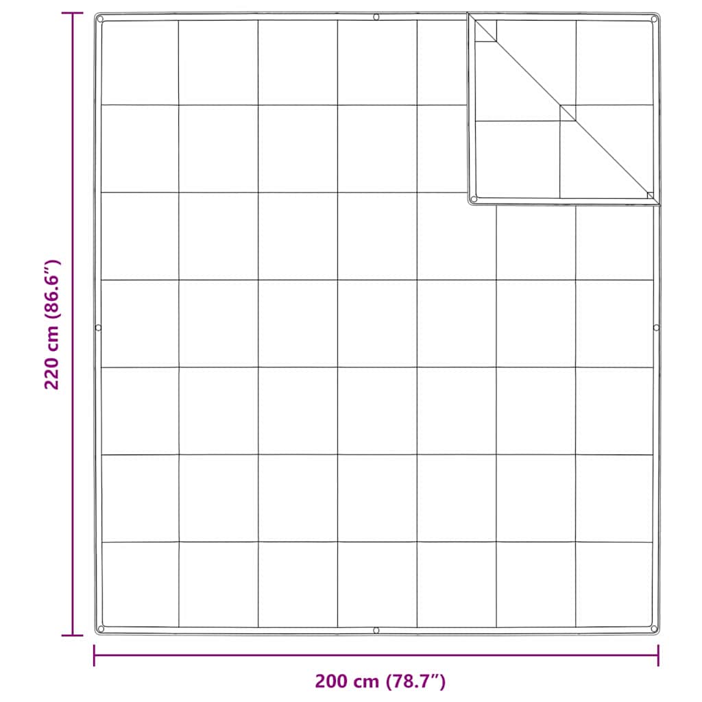 Duvet 2 în 1 Alb 200 x 220 cm Pene