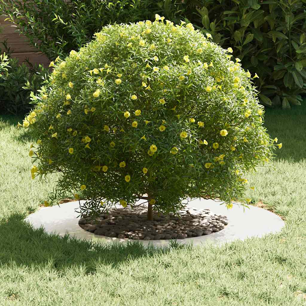 potrivit pentru inele de copac plat 5 pcs Argintiu Ø40 / 70 cm