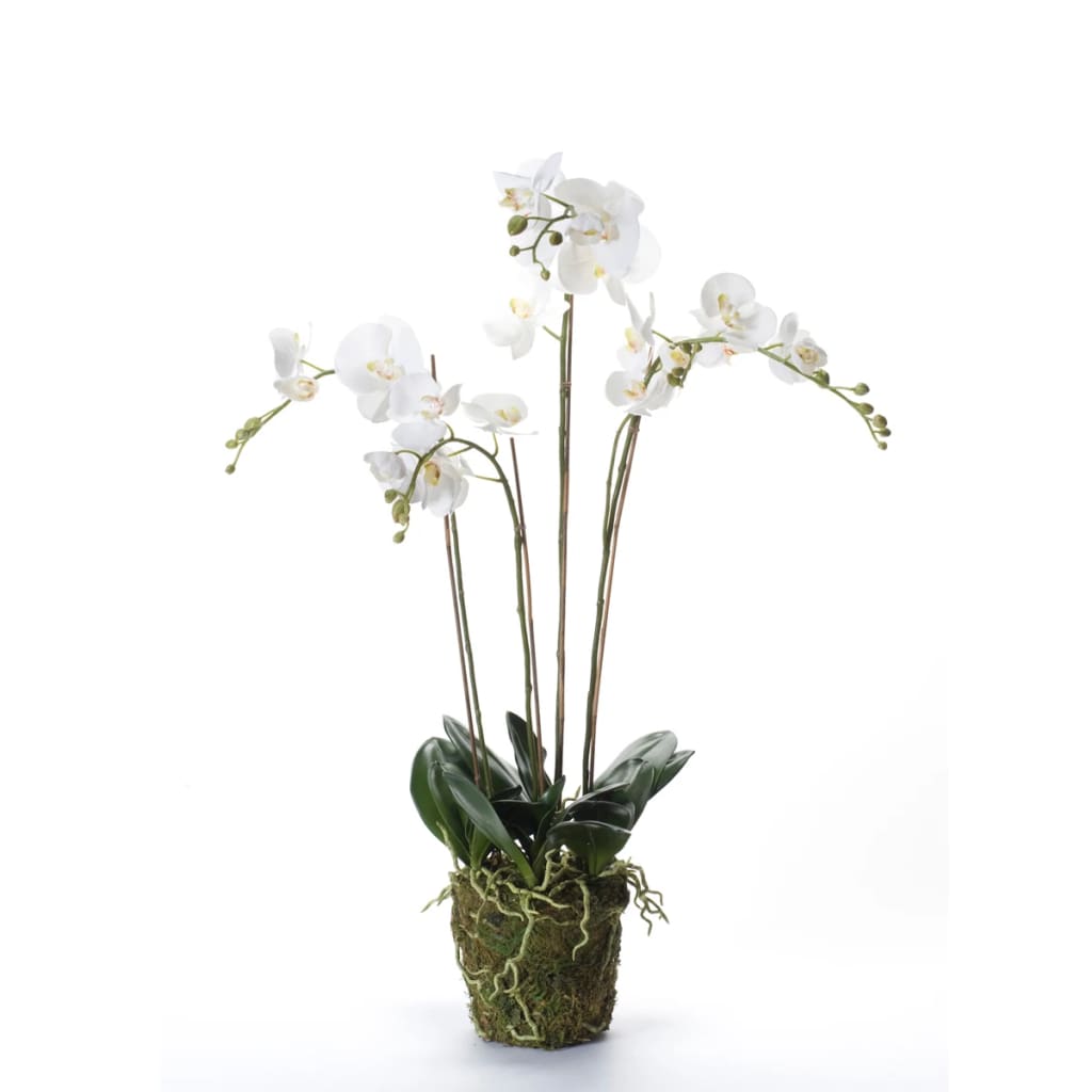 Emerald Orhidee artificială Phalaenopsis cu mușchi, alb, 90 cm 20.355