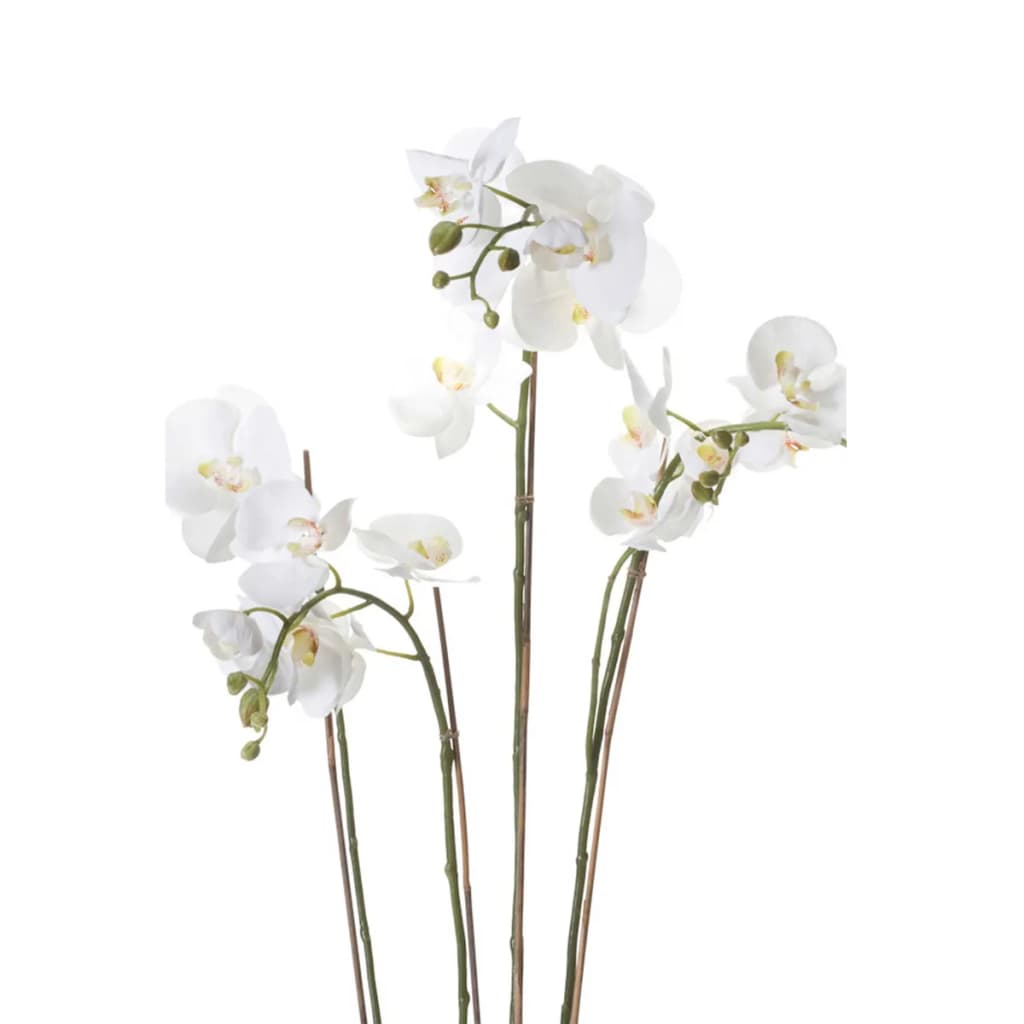 Emerald Orhidee artificială Phalaenopsis cu mușchi, alb, 90 cm 20.355