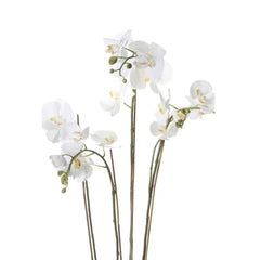 Emerald Orhidee artificială Phalaenopsis cu mușchi, alb, 90 cm 20.355