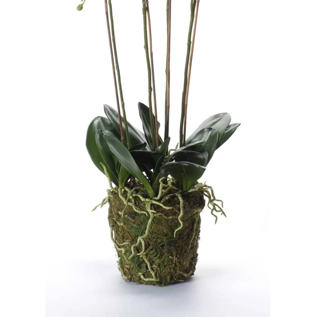 Emerald Orhidee artificială Phalaenopsis cu mușchi, alb, 90 cm 20.355