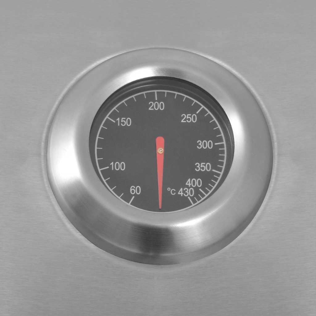 Grătar de Barbecue pe Gaz Argintiu Oțel inoxidabil