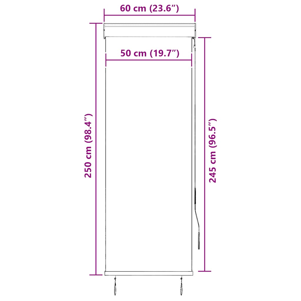 Jaluzea tip rulou de exterior, crem, 60 x 250 cm