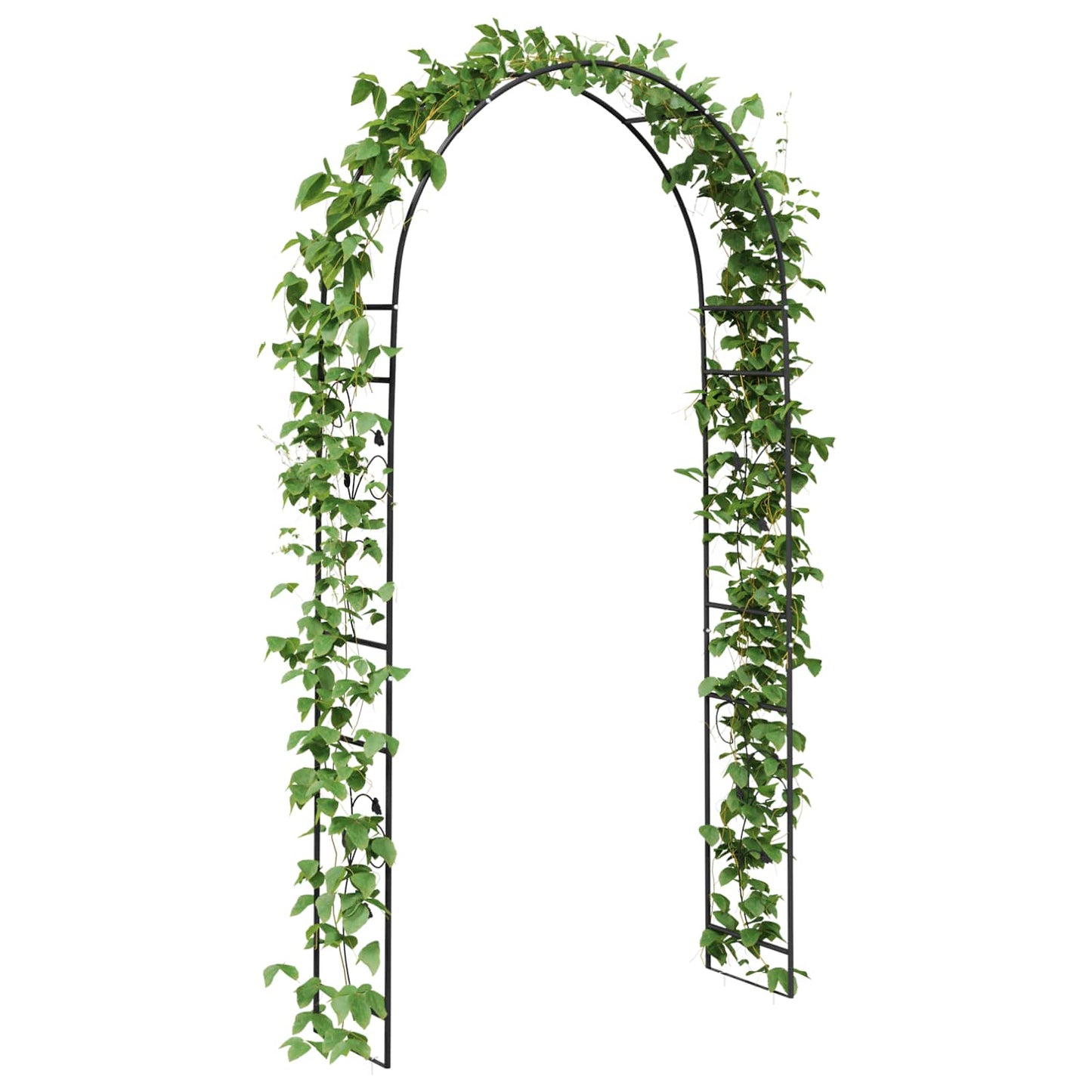 Arc de Grădină Floral Negru 115 x 37 x 231 cm