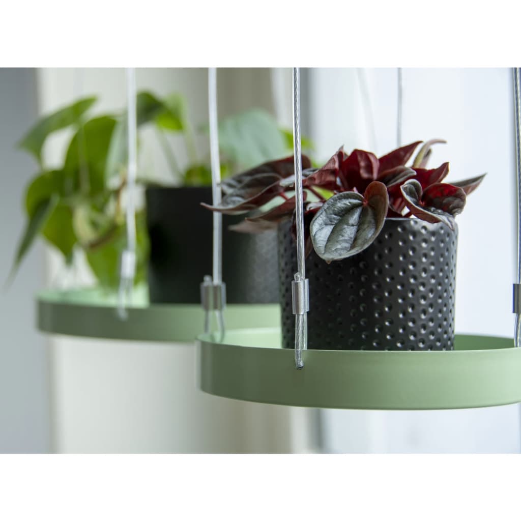 Esschert Design Tavă pentru plante suspendată, verde, rotund, S - Vendito